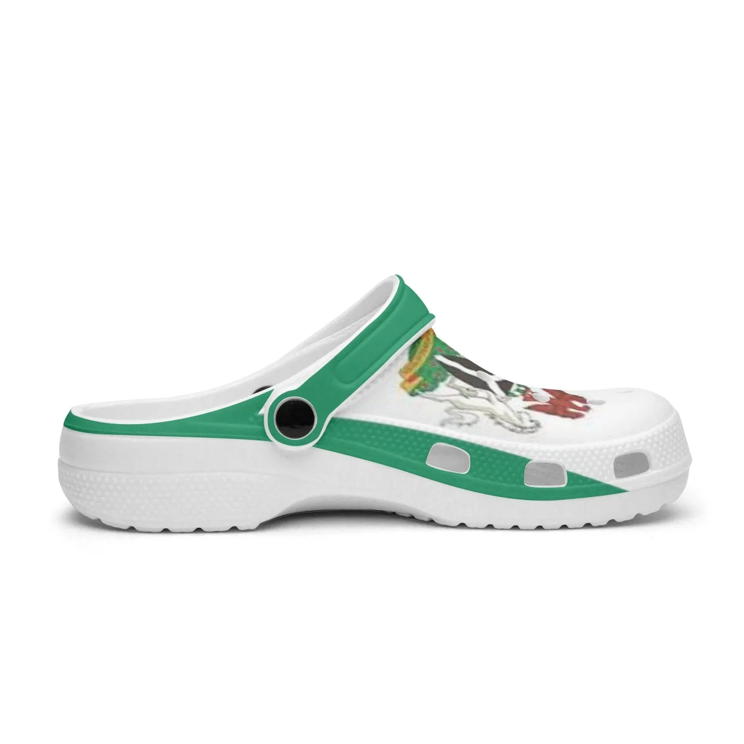 413.Rachvid Nigeria's Independence All Over Printed Clogs