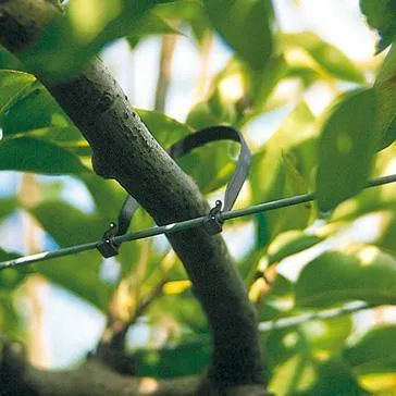 Klipon Vine & Tree Clips