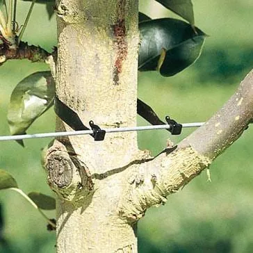 Klipon Vine & Tree Clips